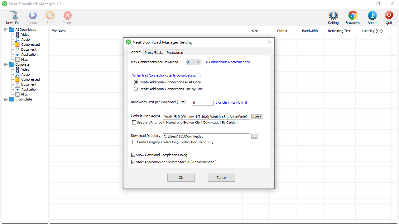 Neat Download Manager